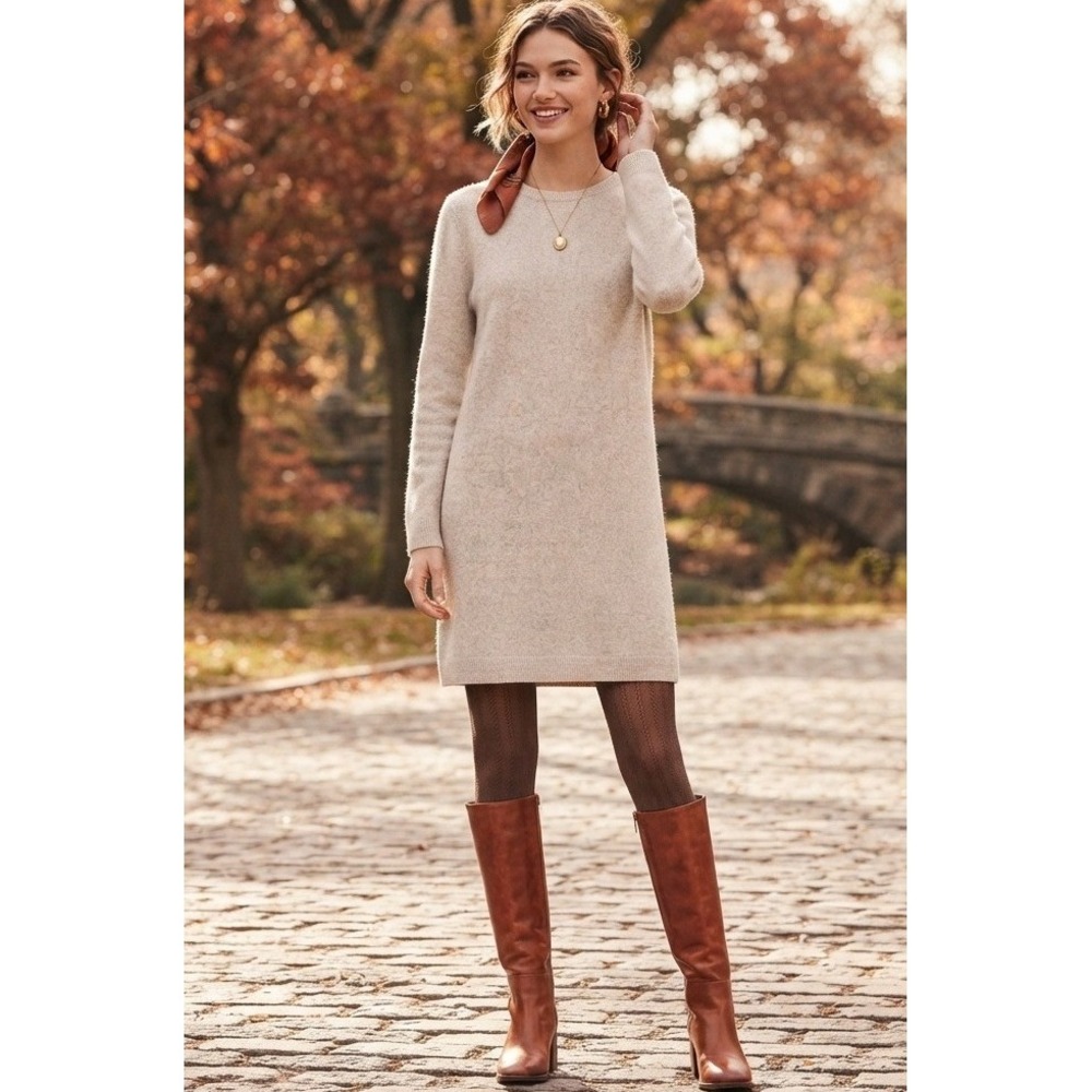 Oak + Fort Sweater Dress Women XS Oatmeal Knit Long Sleeve Shift Crew Neck Good